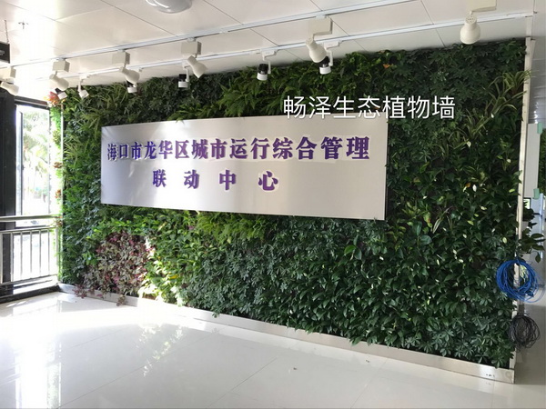 海口龙华区政生态植物墙