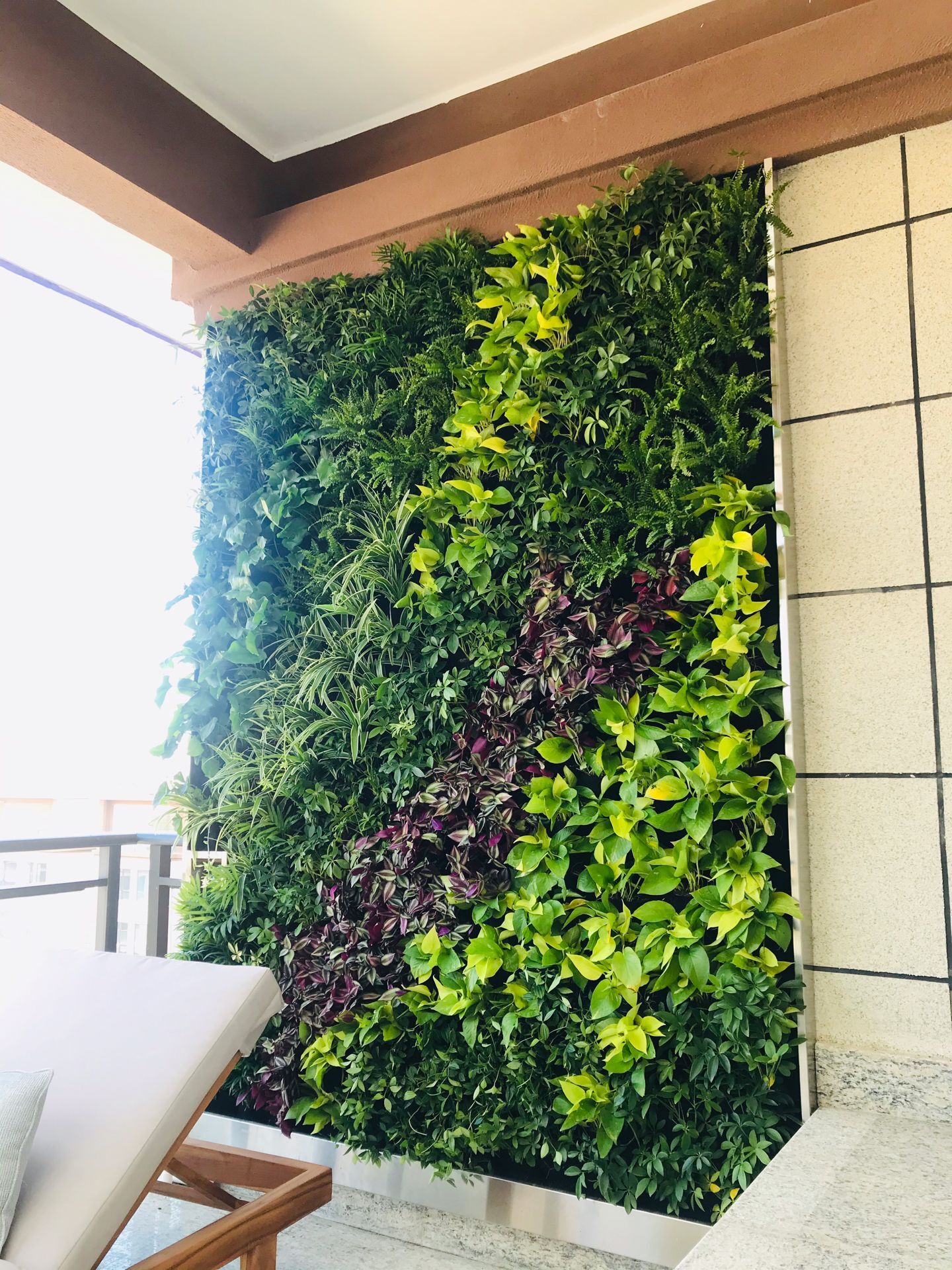 三亚双大地产样板房植物墙
