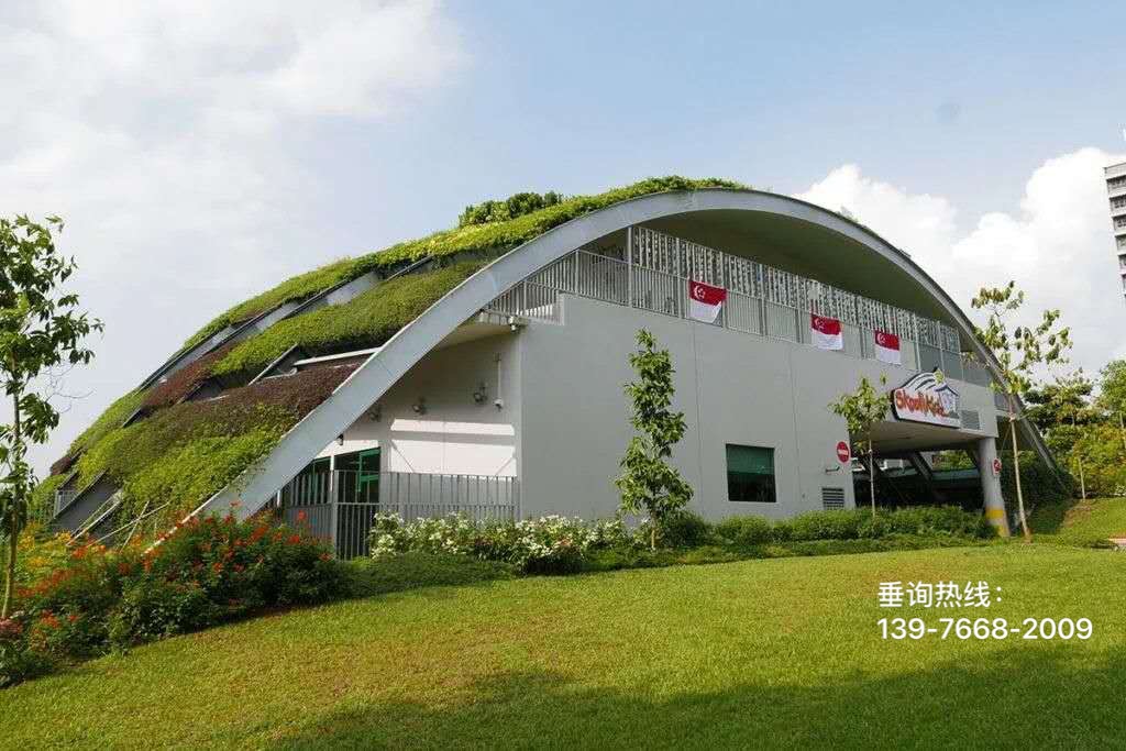 屋顶绿化