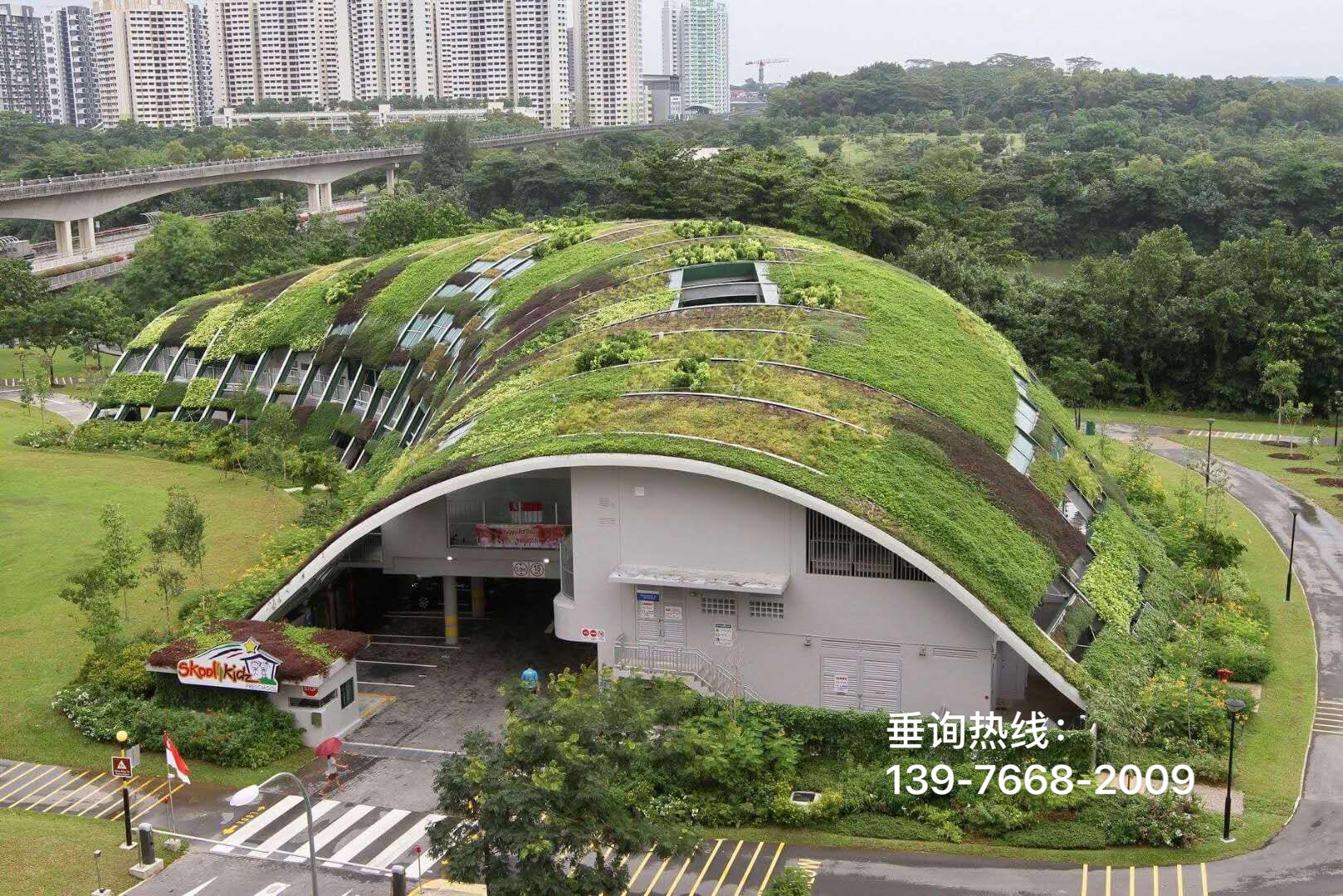 屋顶绿化