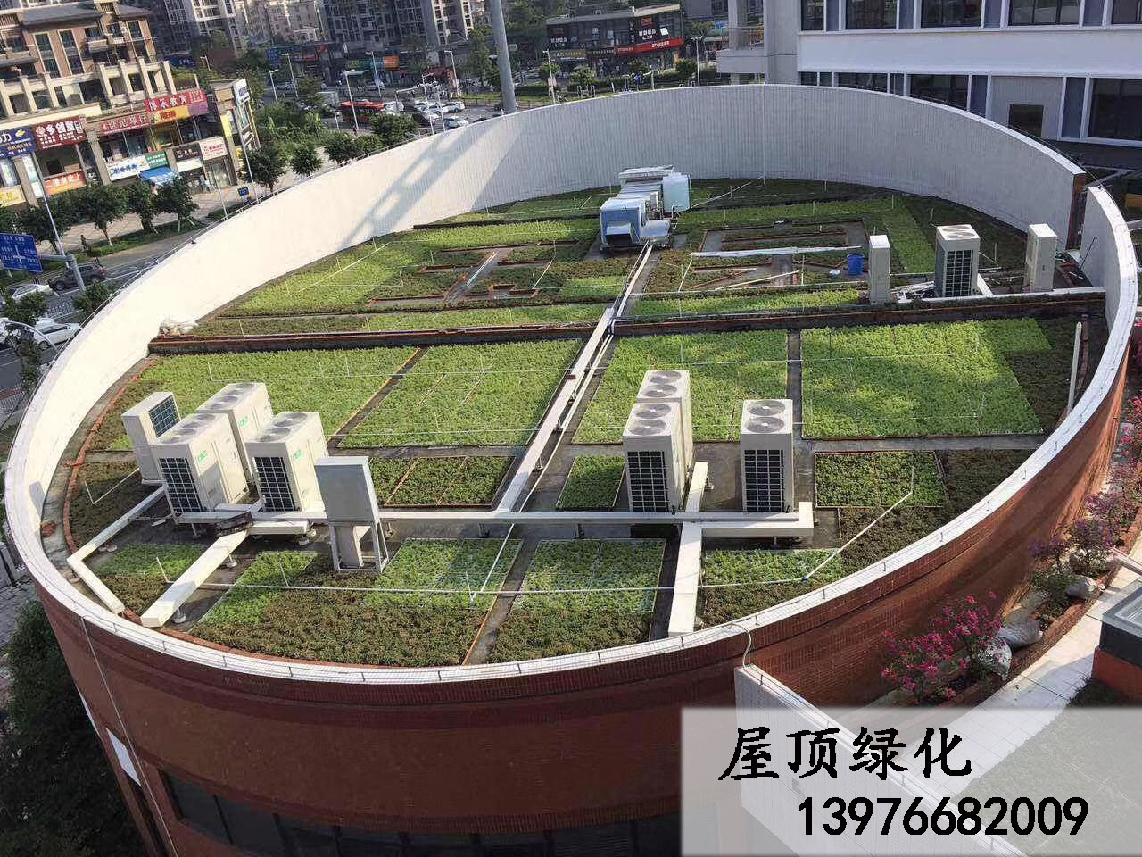 屋顶绿化