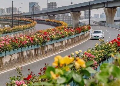 高架桥置顶式沿口绿化
