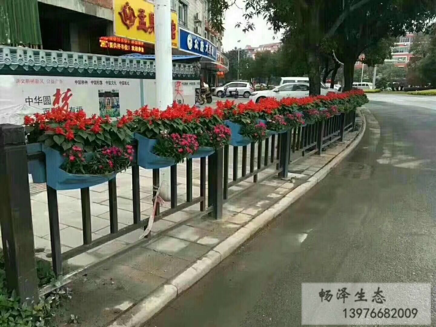 护栏绿化