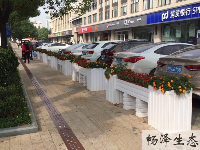 道路绿化