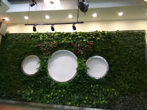 易养德办公区植物墙