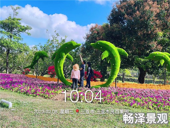 海豚
