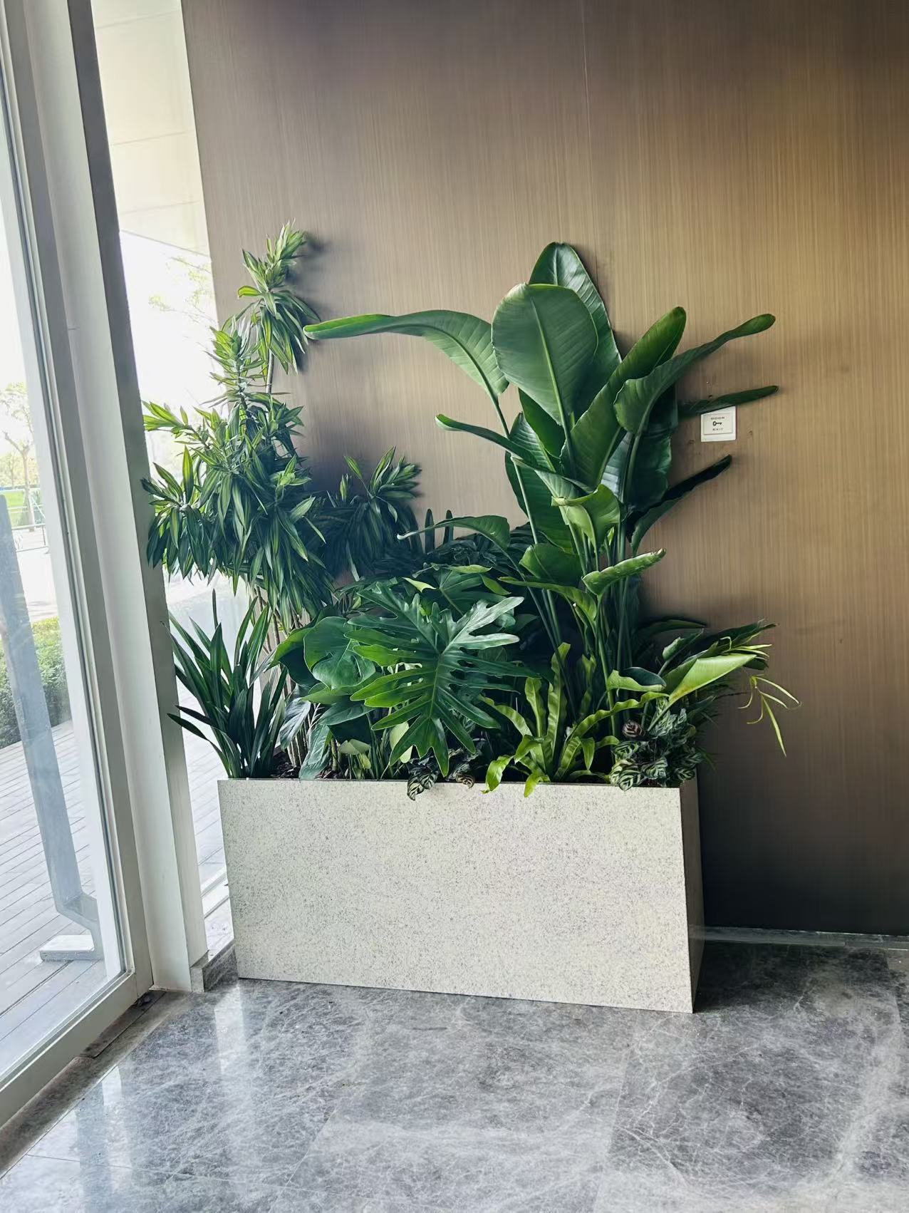 金融中心室内绿植花箱景观
