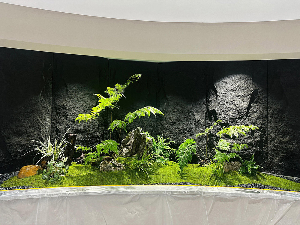 室内绿植微景观
